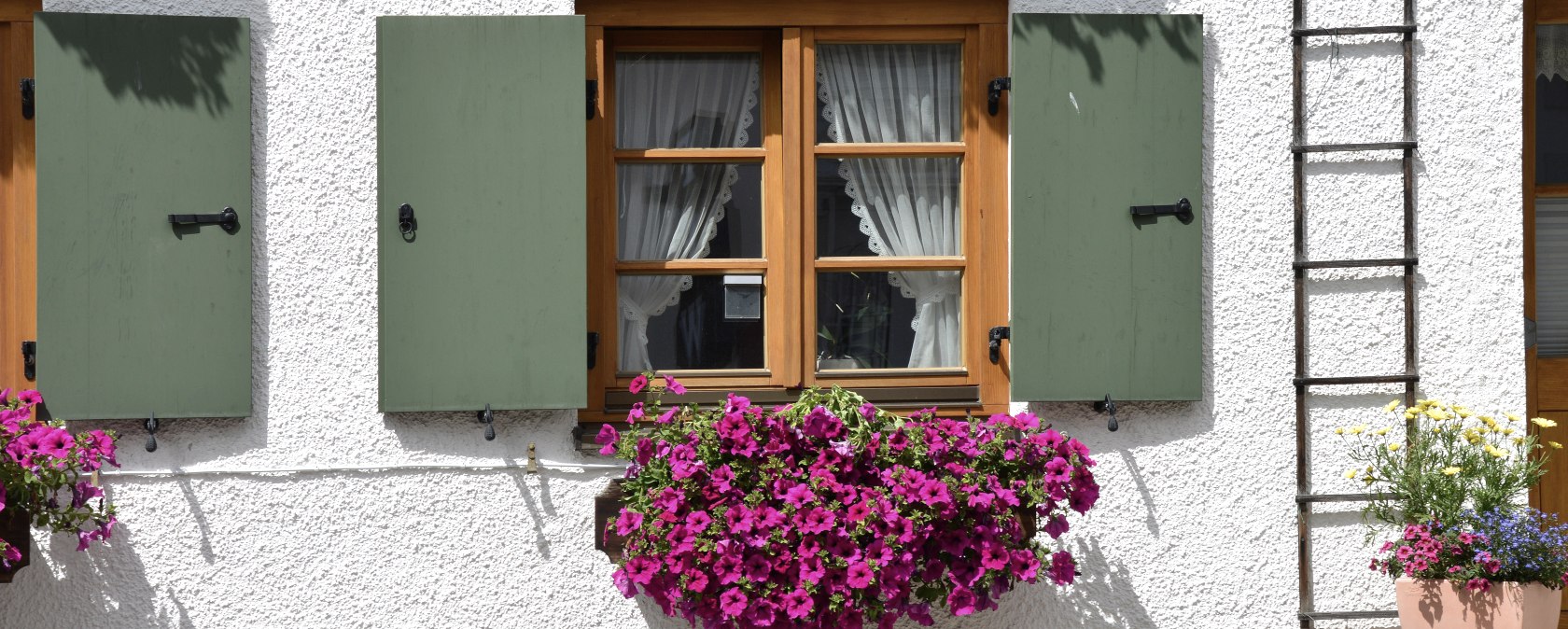 Fenster mit Blumen