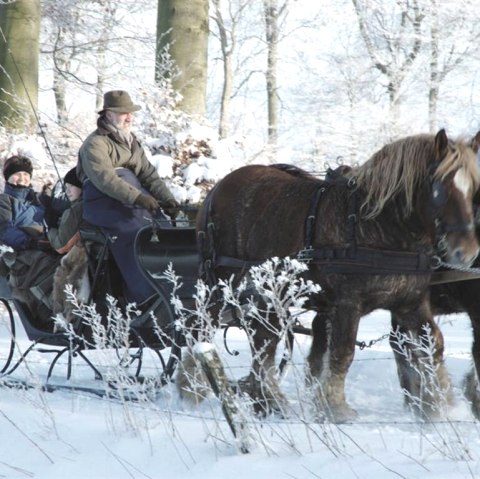 Bauershof, © Friedrich Bauer