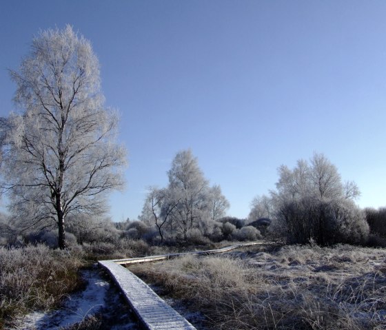 Winter im Monschauer Land, © Irmgard Ehlert