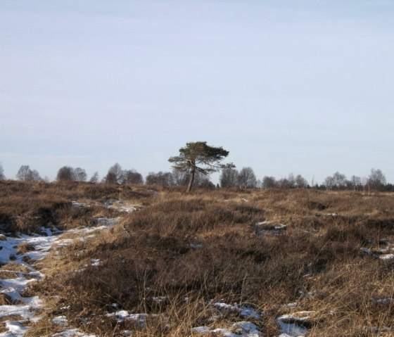 Brackvenn [Résolution du bureau], © Wolfgang Weber