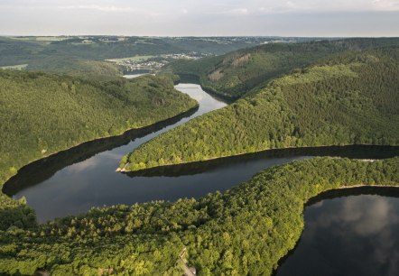 Die Wandertour Wasserlandroute führt immer am Wasser entlang, © Eifel Tourismus GmbH/D. Ketz