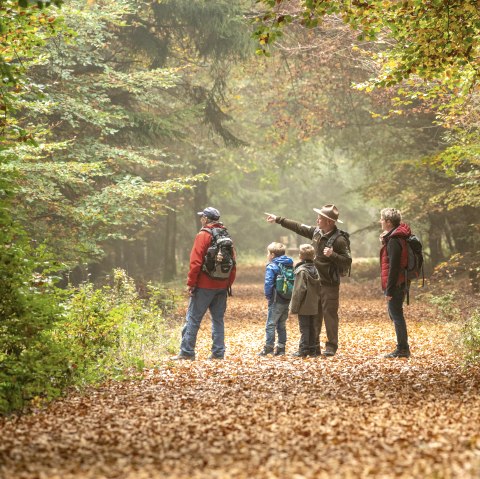 Mit dem Ranger unterwegs im Kermeter, © Nationalpark Eifel, Dominik Ketz