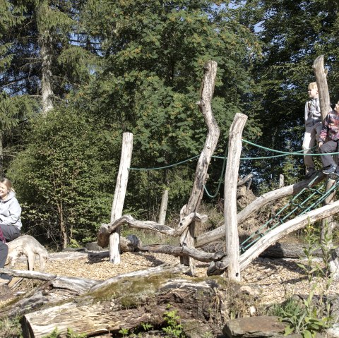 Walderlebnisparcours Kölschkier, Spinnennetz, © Eifel Tourismus GmbH, Tobias Vollmer - finanziert duch REACT-EU