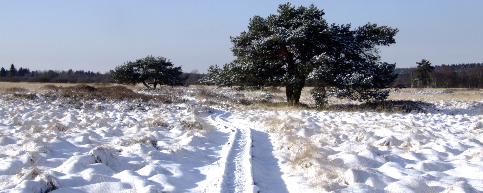 Winter im Monschauer Land, © Irmgard Ehlert