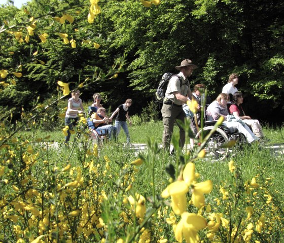 Barrierefrei unterwegs im Nationalpark Eifel, © Nationalpark Eifel_S. Wilden