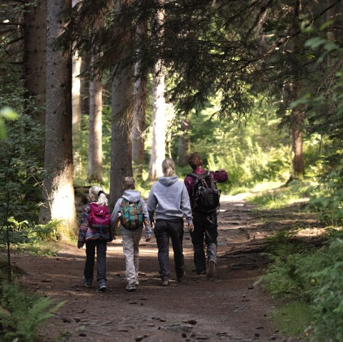 Familie im Wald, © eifel-tourismus-gmbh_tobias-vollmer