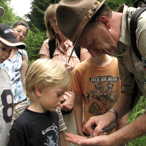 Rangertour im Nationalpark Eifel, © Nationalpark Eifel S. Wilden