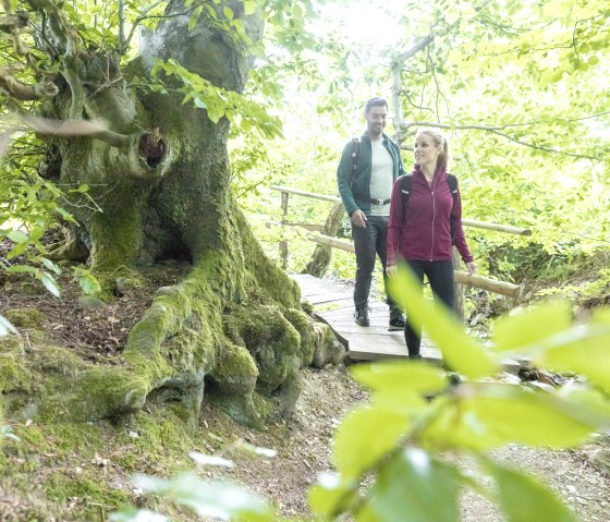 Mützenich-kleine Laufenbachtal, © Eifel Tourismus GmbH, A-Röser