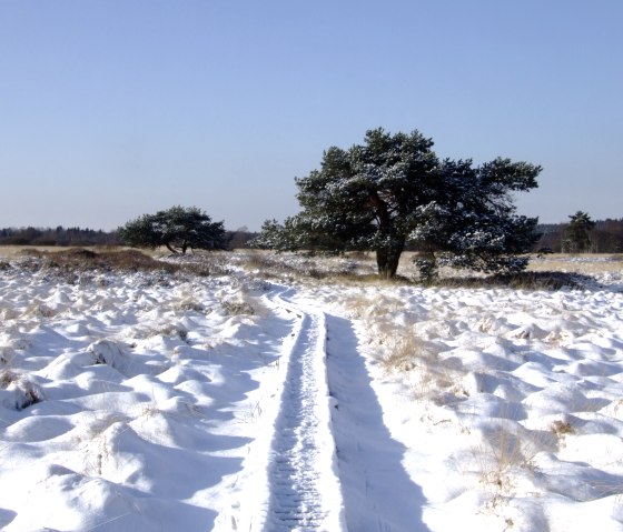 Winter im Monschauer Land, © Irmgard Ehlert