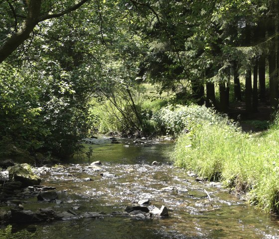 Laufenbach, © Monschau-Touristik