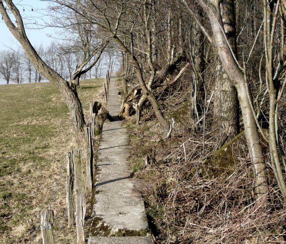 Waldpfad, © Monschau-Touristik