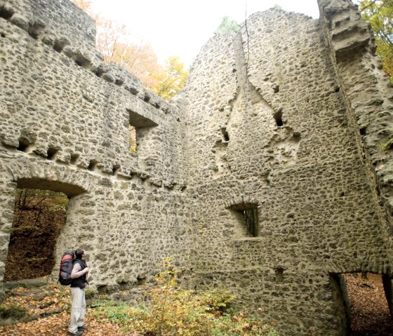 Der Eifelsteig führt am Nerother Kopf vorbei, © Rheinland-Pfalz Tourismus/D. Ketz