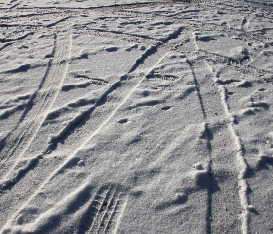 Schneedeck, © Rursee-Touristik GmbH - C.Freuen