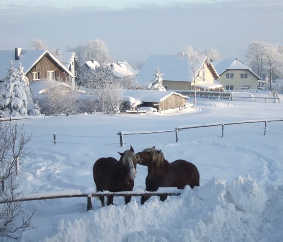 Außenanlage im Winter