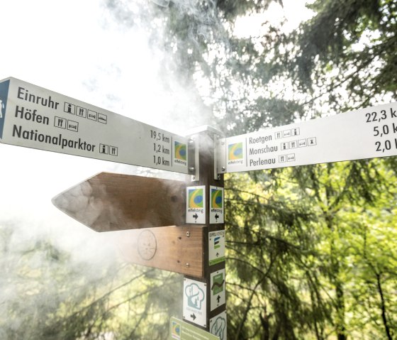 Wildnis-Trail und Eifelsteig teilen sich den Weg, © Eifel Tourismus Gmbh/Dominik Ketz