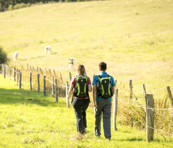 Manscheider Bachtal an der Burgen-Route, Partnerweg des Eifelsteig, © Eifel Tourismus GmbH, Dominik Ketz