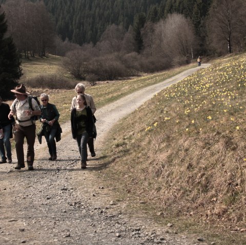 Rangerführung Perlbach, © Nationalpark Eifel M. Wiesen