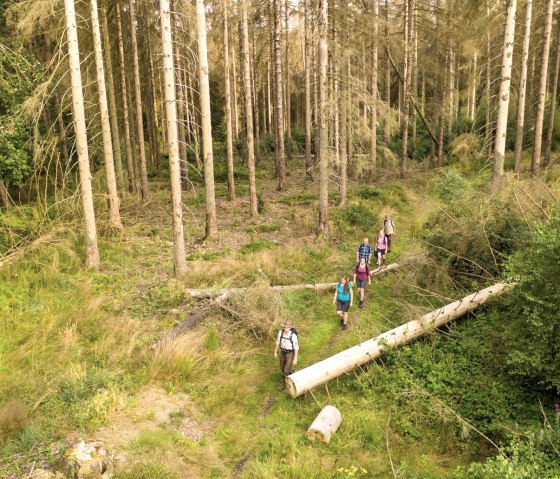 Wanderung mit einem Ranger