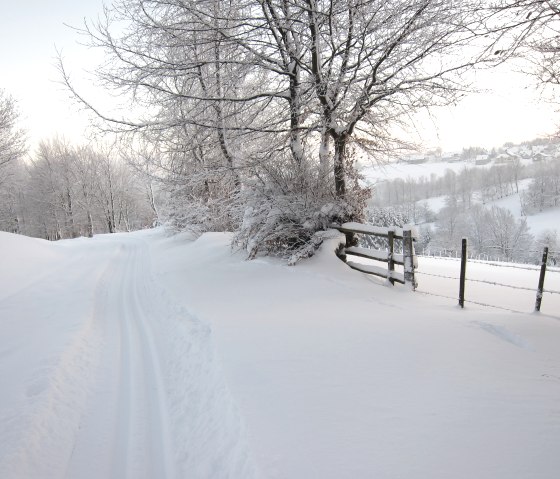 Loipe Eicherscheid, © Günter Scheidt