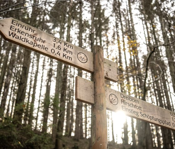 Wildnis-Trail Wegweisung, © Eifel Tourismus GmbH, Dominik Ketz