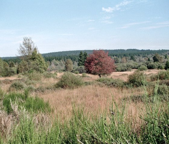 Natuurpark Hoge Venen