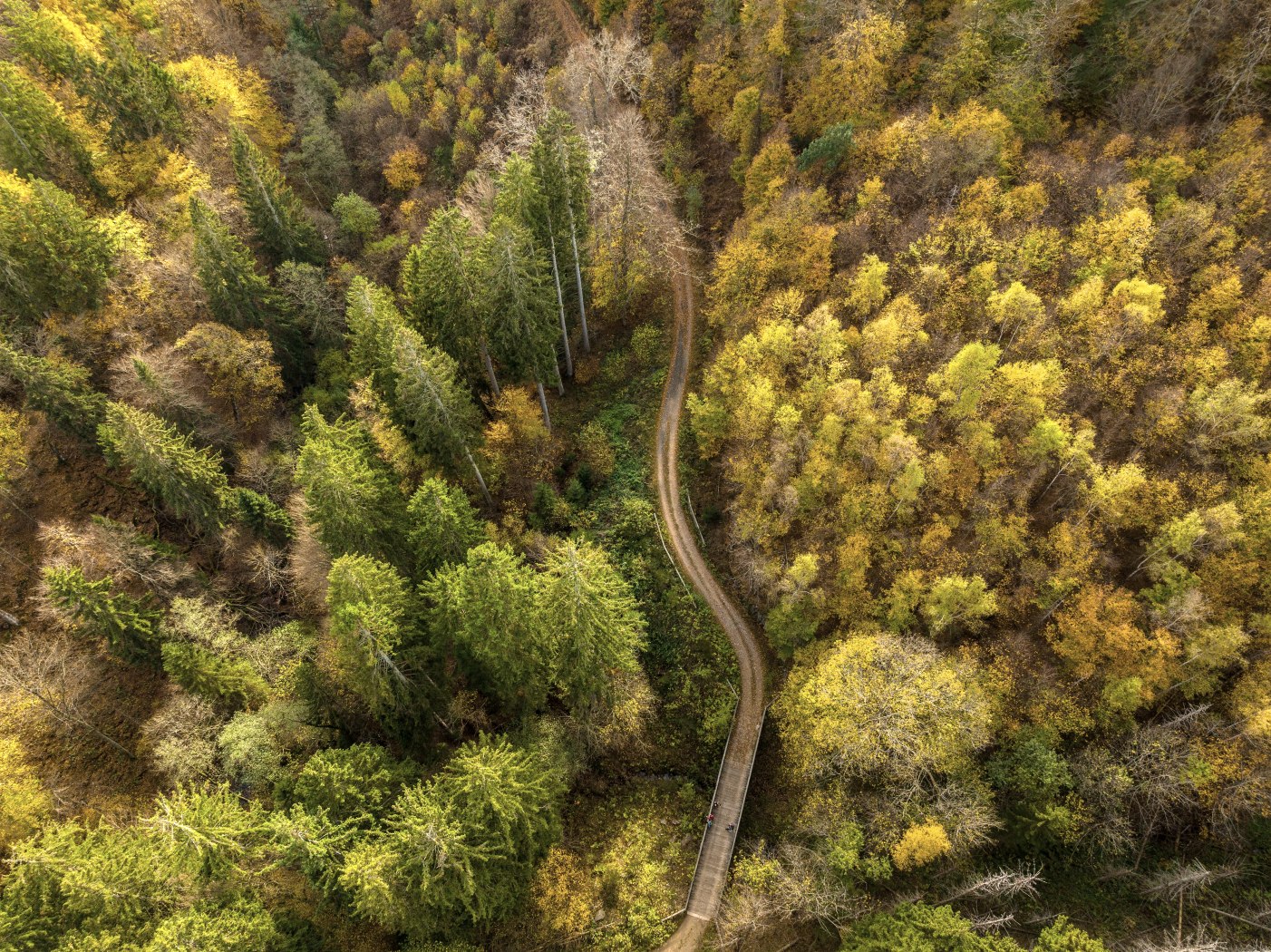 Püngelbach, © Eifel-Tourismus GmbH, Dominik Ketz