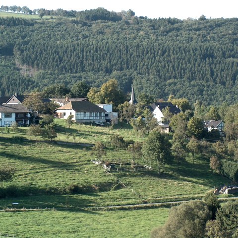 Blick auf Dedenborn, © Rursee-Touristik GmbH