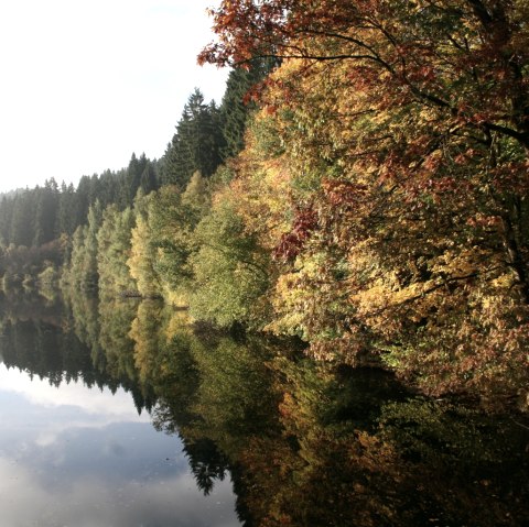 Ganztägige Busbegleitung durch das Dreiländereck oder die Eifel, © Monschau-Touristik