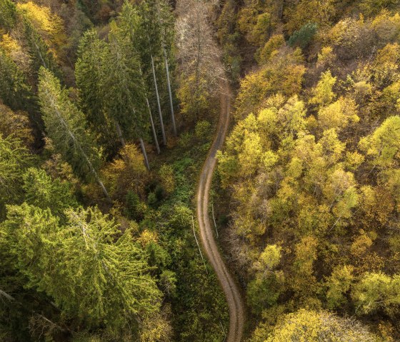 Wanderweg 75 - Püngelbach, © Eifel Tourismus GmbH, Dominik Ketz