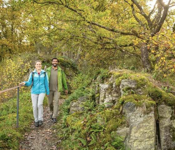 Wildnis-Trail Etappe 1, © Eifel Tourismus GmbH, Dominik Ketz