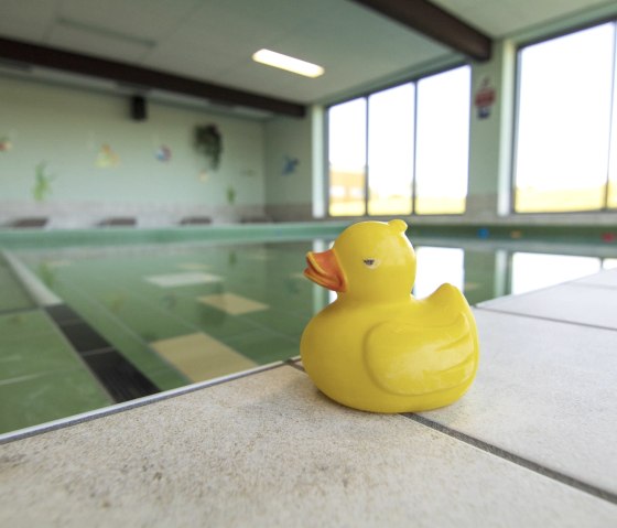 Badeente Schwimmerbecken, © Gemeinde Simmerath