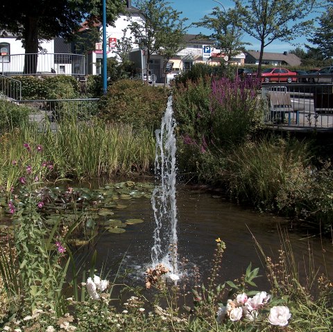 Kleine Teichlandschaft mitten in Imgenbroich, © Monschau-Touristik