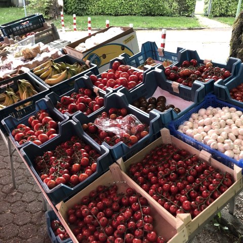 Groot assortiment bij de marktkraam, © Rudi Schmitz