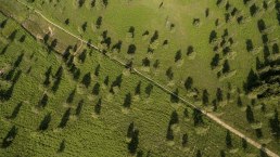 Aerial view of the Struffelt Heath on the Eifelsteig trail, © Eifel Tourismus GmbH, D. Ketz