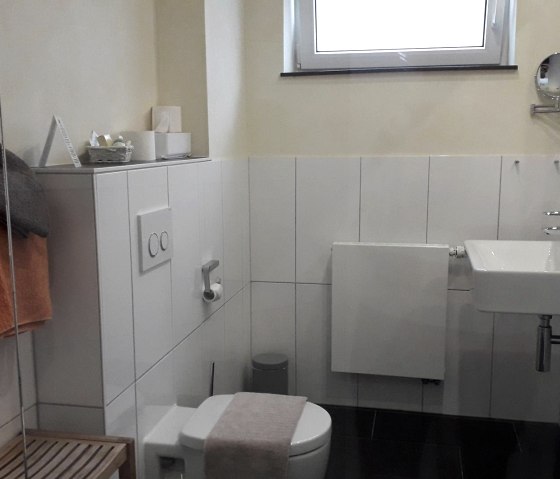 Salle de bain chambre double confort