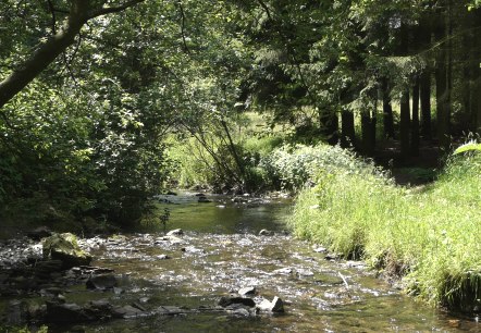 Laufenbach, © Monschau-Touristik