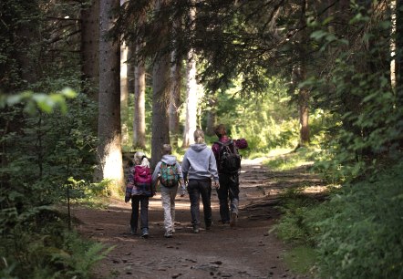 Familie im Wald, © eifel-tourismus-gmbh_tobias-vollmer