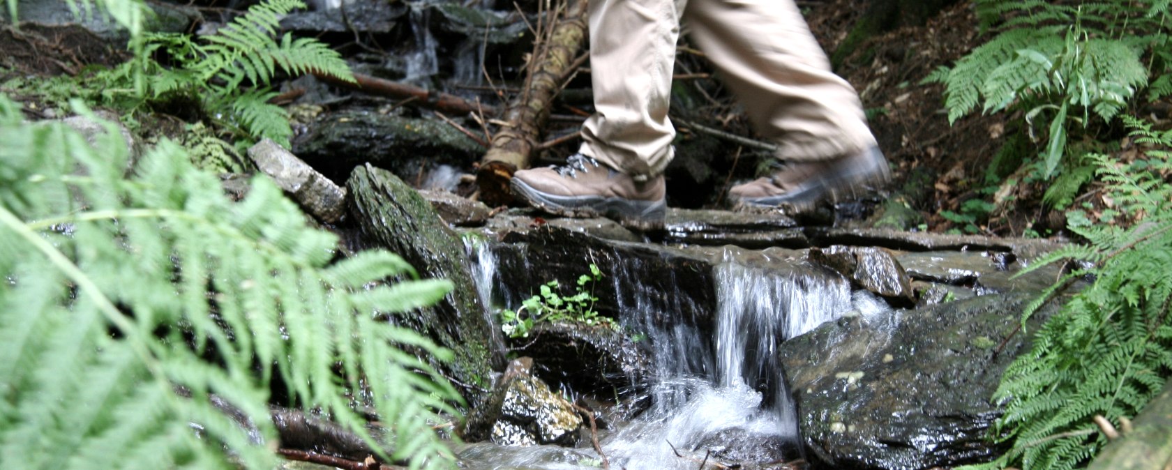 Wandern im Nationalpark Eifel, © Monschauer Land Touristik e. V. G.Priske