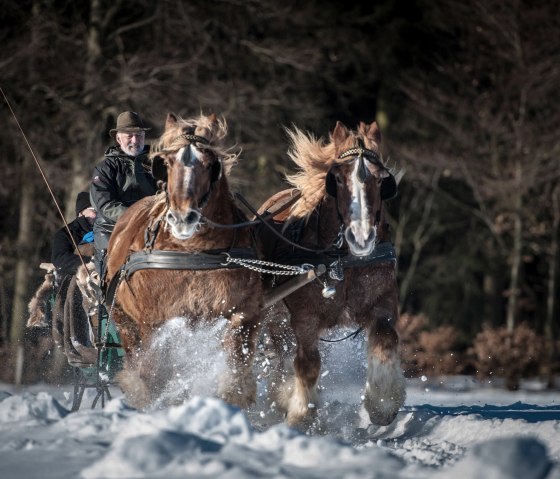 Bauershof, © Akim-Tierfotografie