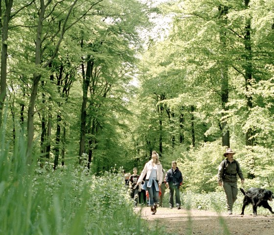 Rangerführung im Nationalpark Eifel, © Nationalpark Eifel C. Heer