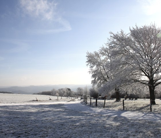 Winterlandschaft mit blauem Himmel auf dem Flurheckenweg Eicherscheid., © Cornelia Freuen