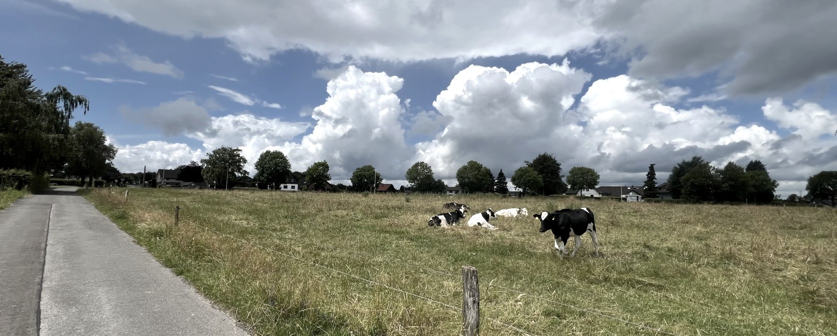 Strauch dorpsrondleiding, © Rureifel-Tourismus, Michelle Wiesen