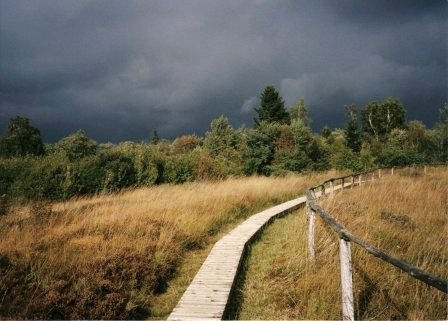 Das Hohe Venn, © Monschau-Touristik