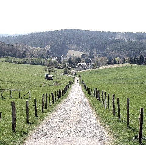 Lehmjöres-Weg in Stolberg-Vicht, © Dieter Gier