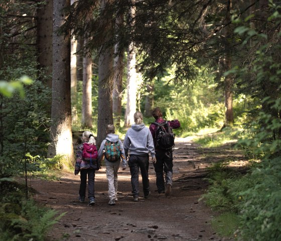 Famille dans la forêt, © eifel-tourismus-gmbh_tobias-vollmer