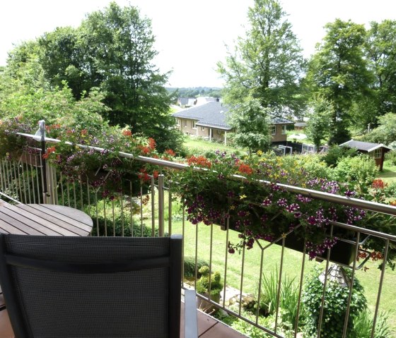 Vue sur le balcon, © Goffart